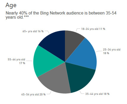 Bing user demographics for digital marketing - Age